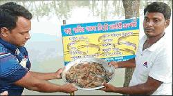 Lobster farming at Paba increasing