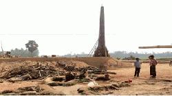 10 brick kilns at Mohonpur use wood instead of coal