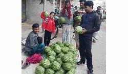 Unseasonal watermelon startles Rajshahi buyers