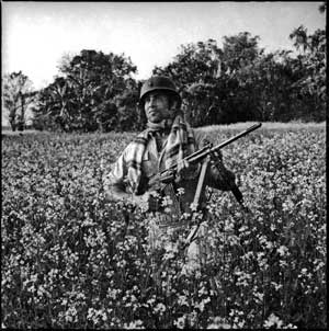 An armed freedom fighter amidst a mustard field in the country