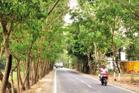 Feni roads have been repaired recently. The photo shows the beautiful Feni-Parshuram road.	photo: Observer 