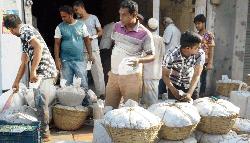 Rajshahi courier services busy with mango consignment 