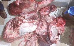Trader fined Tk 25,000 for selling meat of sick cow