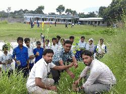 8,823 trees planted in Charghat upazila