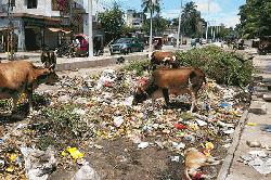 Rajshahi city dwellers want to get rid of dirt