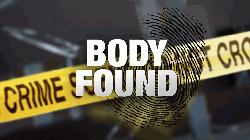 Housewife 'commits' suicide