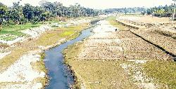 Boral River turns dead