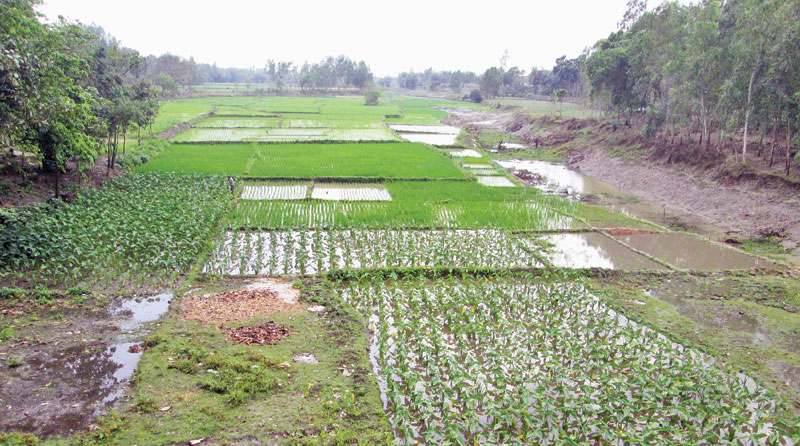 A view of the Chhota Jamuna River near Shimultaly Bridge area. 	photo: Observer 