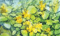 Nature as muse for Soikat