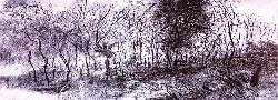Anukul mingles understanding, reminiscence and turmoil