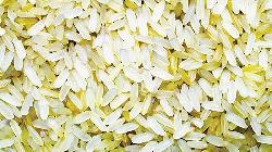Govt set to release ‘Golden Rice’ for farming 