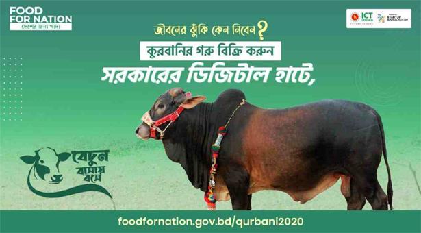 Eid ul Azha: Online cattle buying likely to reach new heights amid pandemic