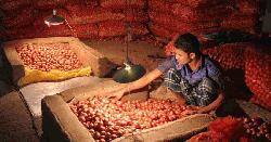 Onion prices to cool down further: Commerce Ministry