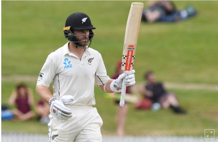 Cricket - New Zealand v England - Second Test - Seddon Park, Hamilton, New Zealand - December 3, 2019 New Zealand's Kane Williamson celebrates his half century. Photo: Reuters