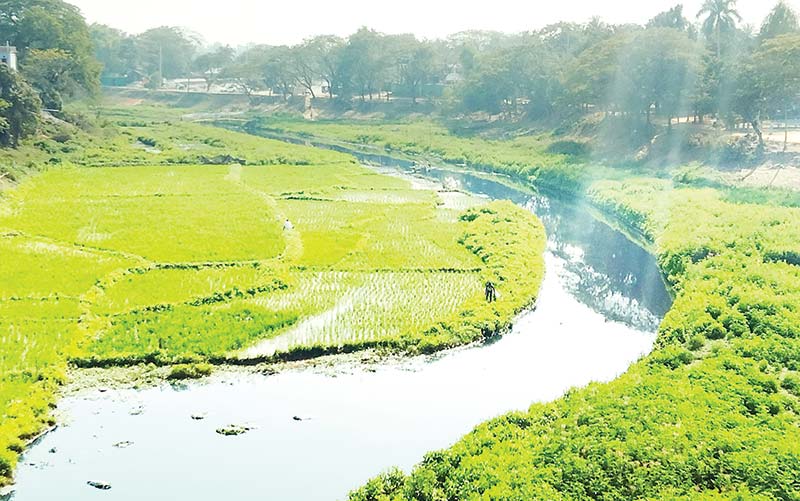 The Khiro River in Bhaluka Upazila of Mymensingh.	photo: observer