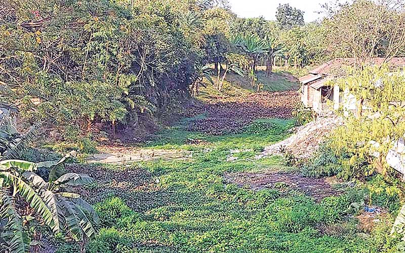 The photo shows a portion of the Narod River in Puthia Upazila, which has been grabbed.	photo: observer
