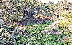 Eight rivers at Puthia in death throes