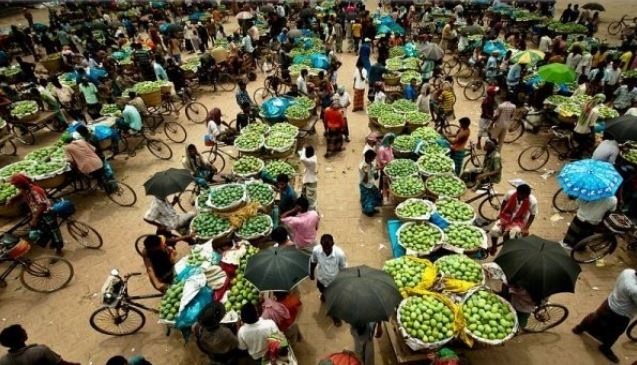 Mango traders cashing in on higher price in season’s peak