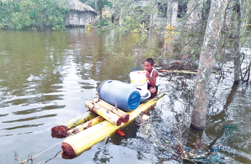 The photo shows a boy of Moharajpur in Koyra Upazila going to collect drinking water with a banana raft.	photo: observer