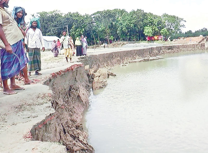 The erosion by Arial Khan River being taken serious turns in Sadar Upazila of Madaripur.	photo: observer