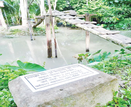 The betel nut tree pathway built with the allocation of  iron bridge at Banaripara.	photo: observer