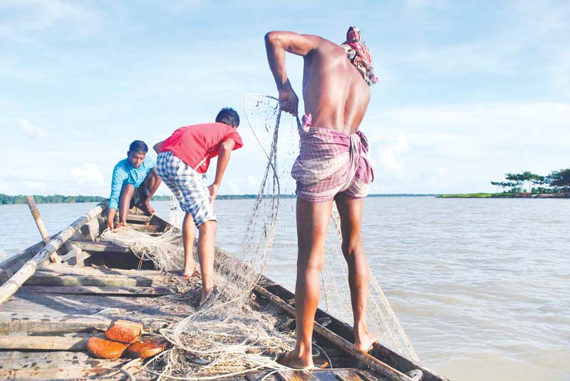 Fishermen trying hard to catch hilsa in the Bishkhali River in Betagi Upazila.	photo: observer