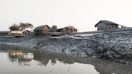 The agricultural lands have become barren and as no vegetation is seen near any human habitation in southern and western coastal areas of Bangladesh.