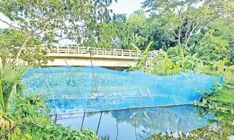 The photo shows fish farming going on after occupying a canal at Betagi.	photo: observer