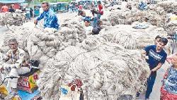 Jute growers happy over fair price in Rajshahi