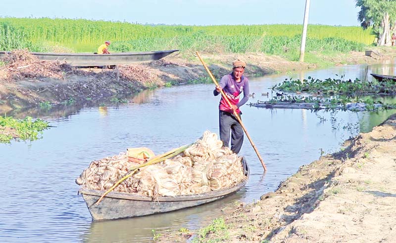 The photo shows a farmer taking jute to his house premises by a boat on the Bannegara Beel at Santhia.	photo: observer