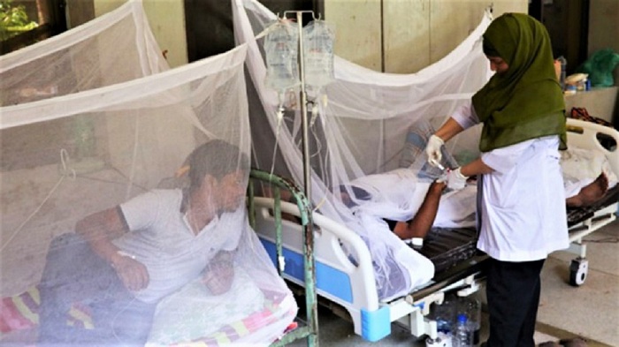 Dengue claims 6 more lives in just one day