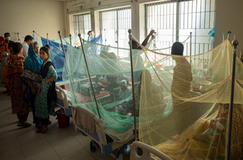 Dengue claims eight more lives in a day