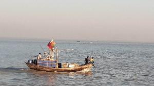 Two brothers drown in Meghna River