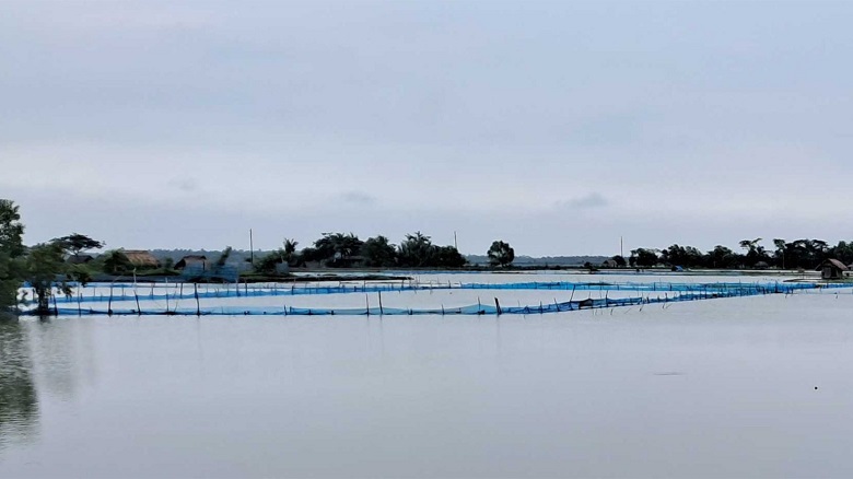 Over 300 fish farms submerged in Bagerhat's Morelganj upazila. Photo: Observer