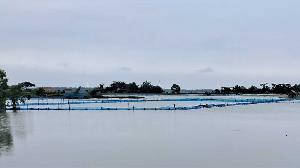 40 villages flooded, over 300 fish farms submerged in Bagerhat 