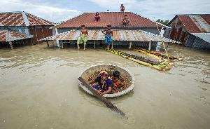 Floods cause nearly Tk14,269 cr losses in 11 districts