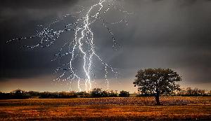 Three killed, 9 injured in Thakurgaon lightning strikes