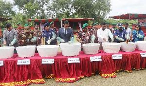 BGB destroys drugs worth Tk 35 cr