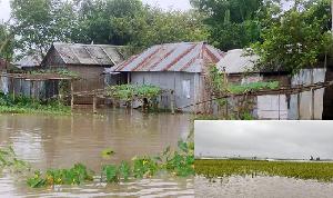 Kurigram flooded as rising river levels submerge fields, homes