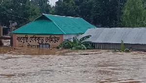 Hundreds of homes submerged in Sherpur flash flood