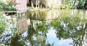Minor child drowns in Bhola pond