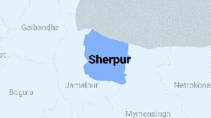 Woman dies after falling from battery-powered rickshaw in Sherpur