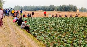 Border tensions rise as BGB halts BSF's fence construction in Lalmonirhat