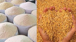 Paddy collection target unlikely to be met in Kurigram