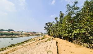 BSF quash rumor on 'protective dam construction' along Moulvibazar border
