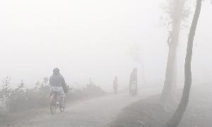 Cold wave leaves Kurigram day labourers' in lurch
