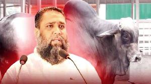 Sadeeq Agro Chairman arrested in Tk 133cr money laundering case