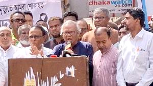 Interim govt influenced by a ‘Kitchen Cabinet’: Rizvi  