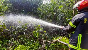 95% of Sundarbans' blaze contained, full extinguishment expected soon  