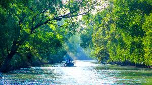Govt bans new industries within 10km of Sundarbans